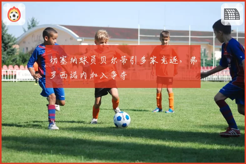 切塞纳球员贝尔蒂引多家竞逐,弗罗西诺内加入争夺