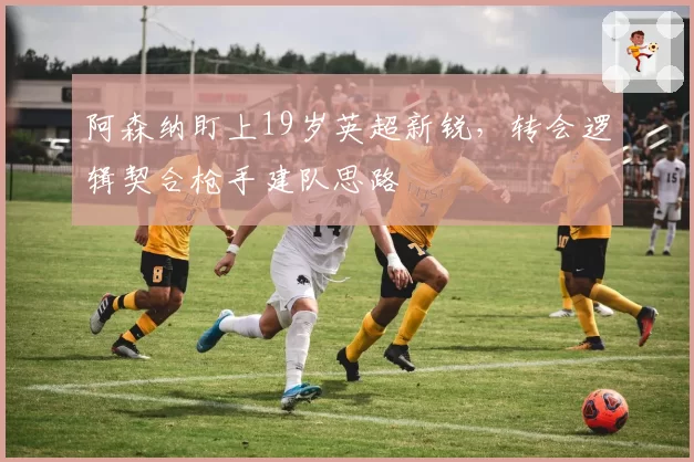 阿森纳盯上19岁英超新锐,转会逻辑契合枪手建队思路